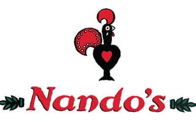 Nandos Project Update